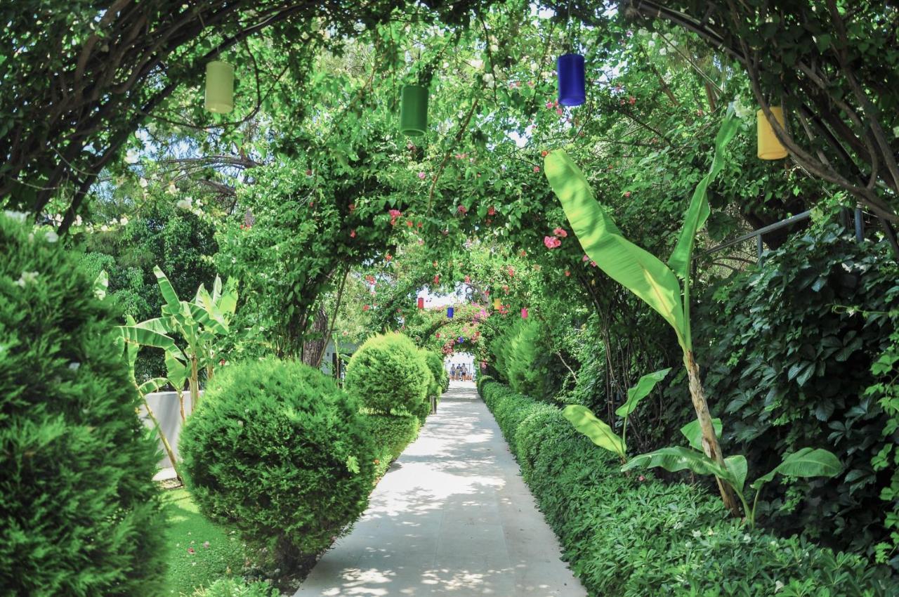Ring Beach Hotel เบลดิบี ภายนอก รูปภาพ